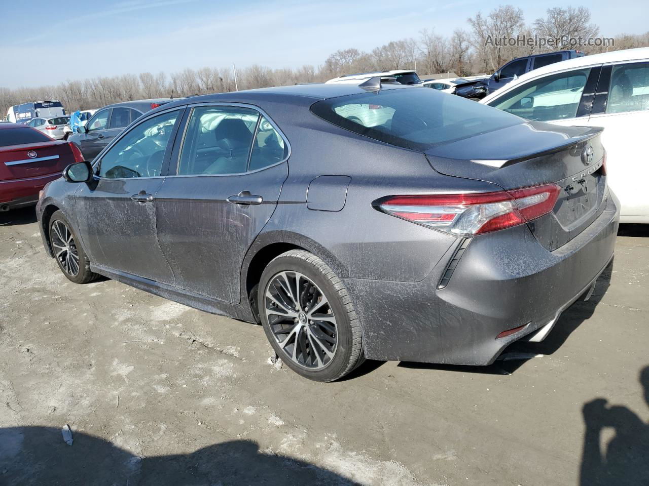 2019 Toyota Camry L Серый vin: 4T1B11HK5KU792249