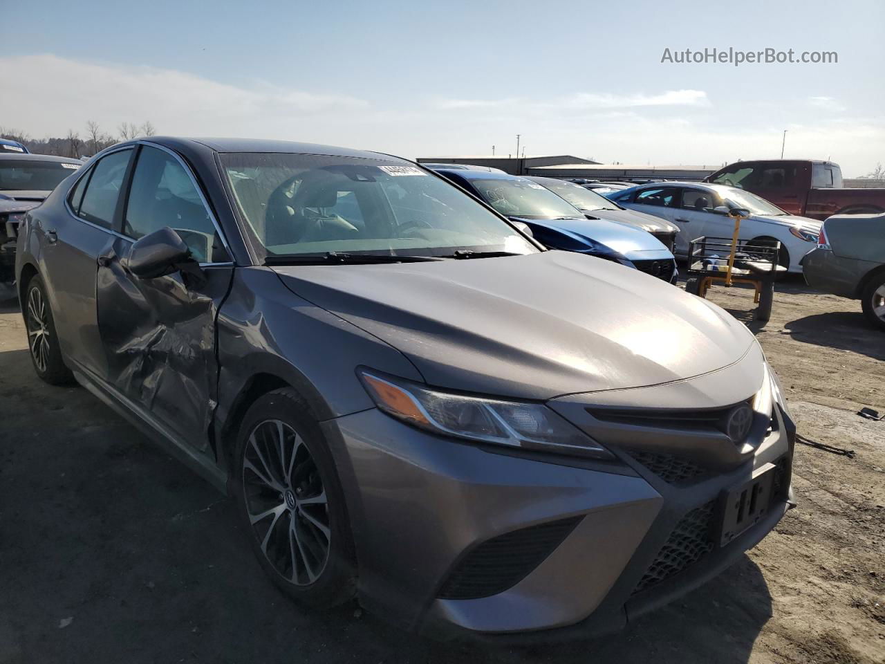 2019 Toyota Camry L Серый vin: 4T1B11HK5KU792249