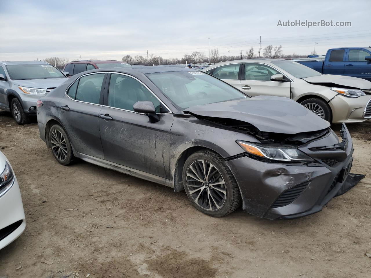 2019 Toyota Camry L Серый vin: 4T1B11HK5KU831244