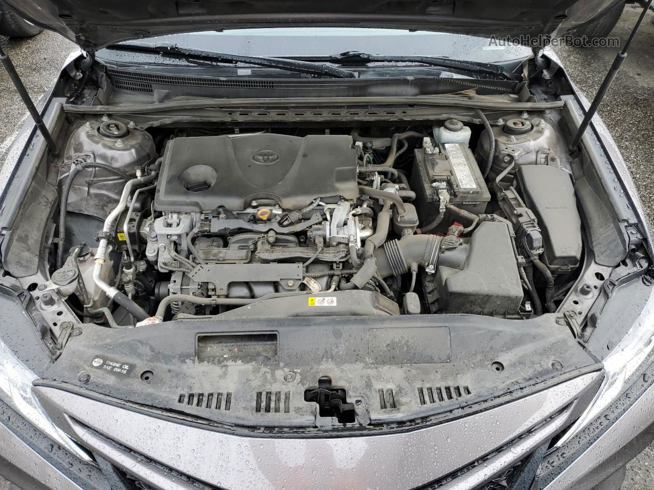 2019 Toyota Camry L Gray vin: 4T1B11HK5KU834256