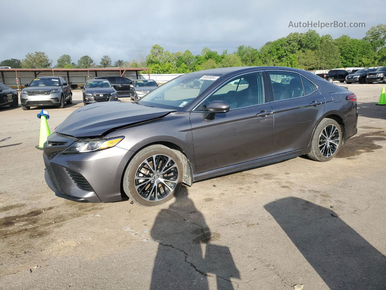 2019 Toyota Camry L Серый vin: 4T1B11HK6KU282914