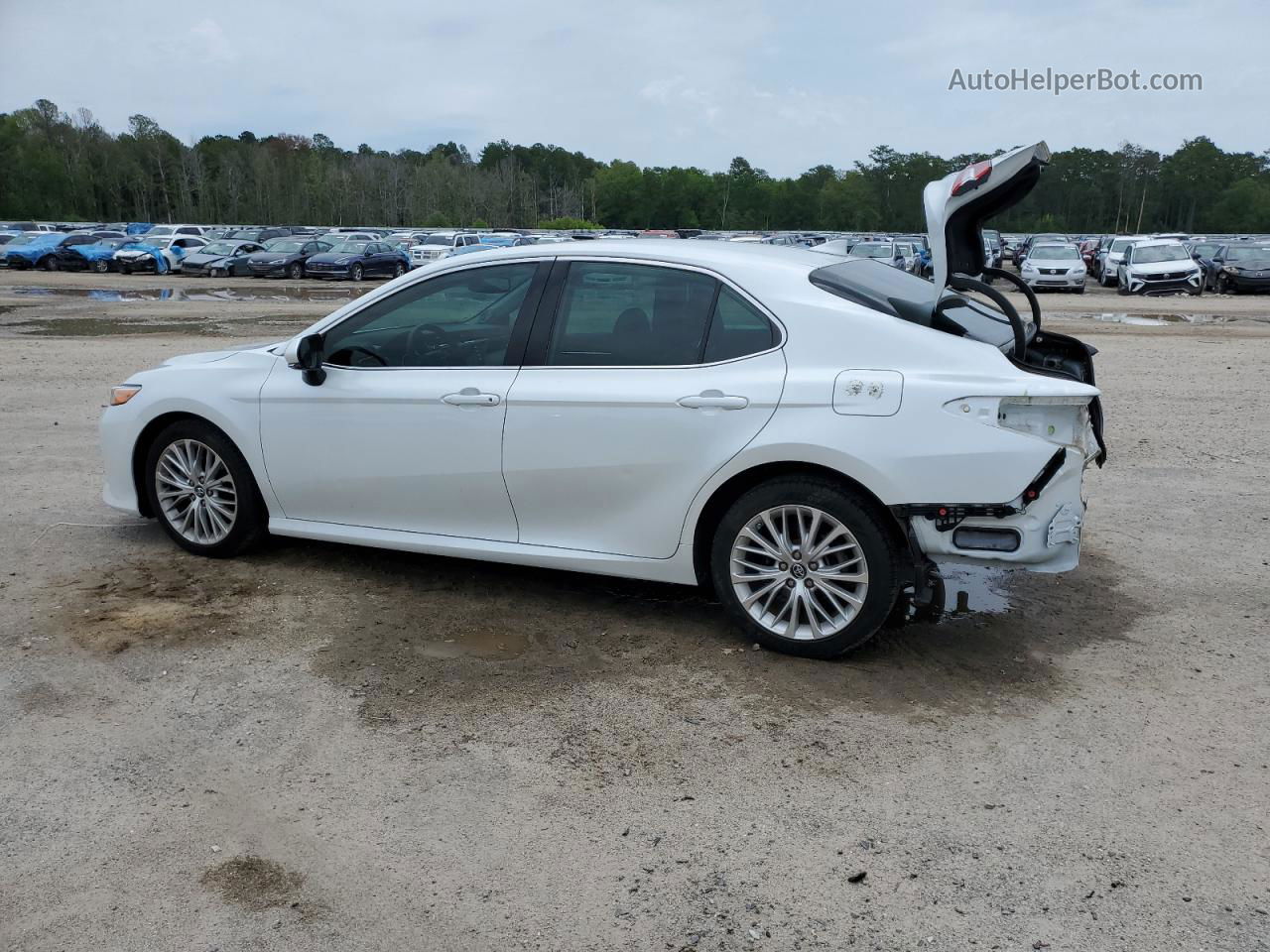 2019 Toyota Camry L White vin: 4T1B11HK6KU701165