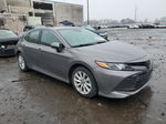 2019 Toyota Camry L Gray vin: 4T1B11HK6KU708522