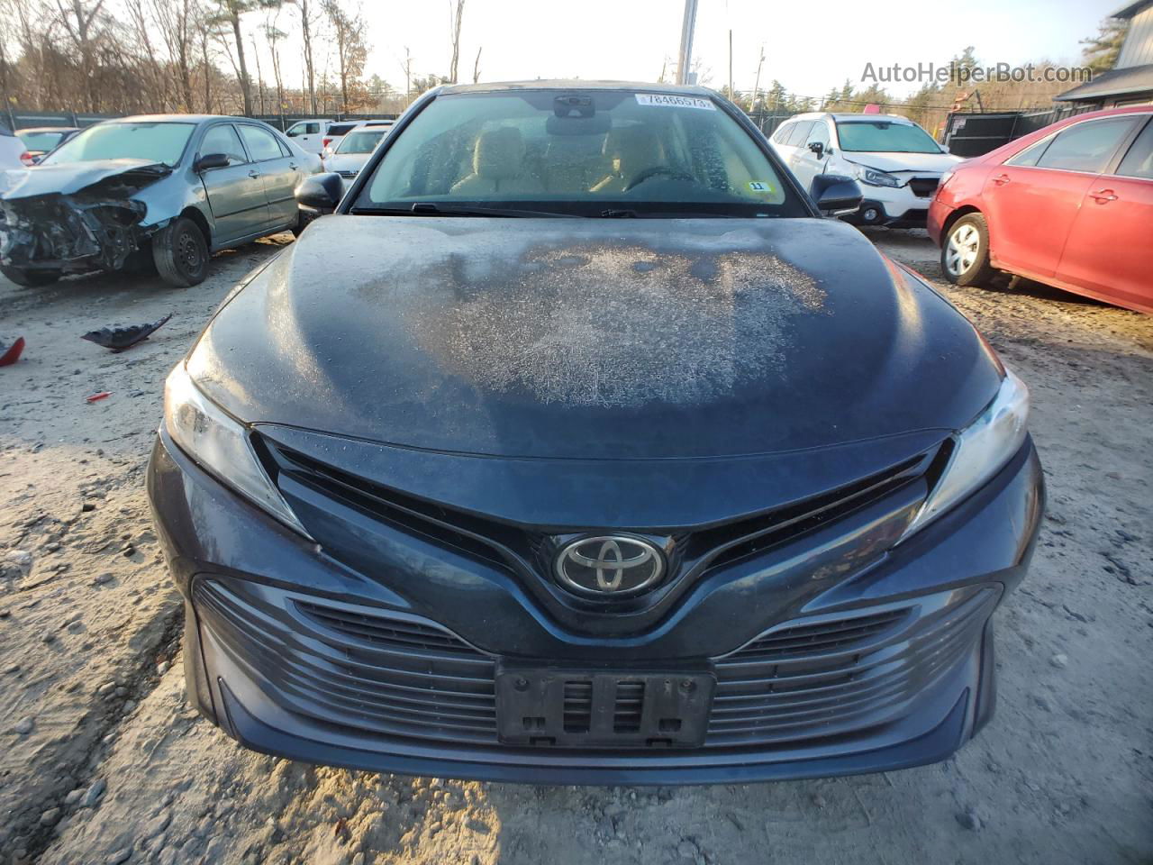 2019 Toyota Camry L Green vin: 4T1B11HK6KU733985