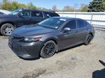 2019 Toyota Camry L Gray vin: 4T1B11HK6KU750589