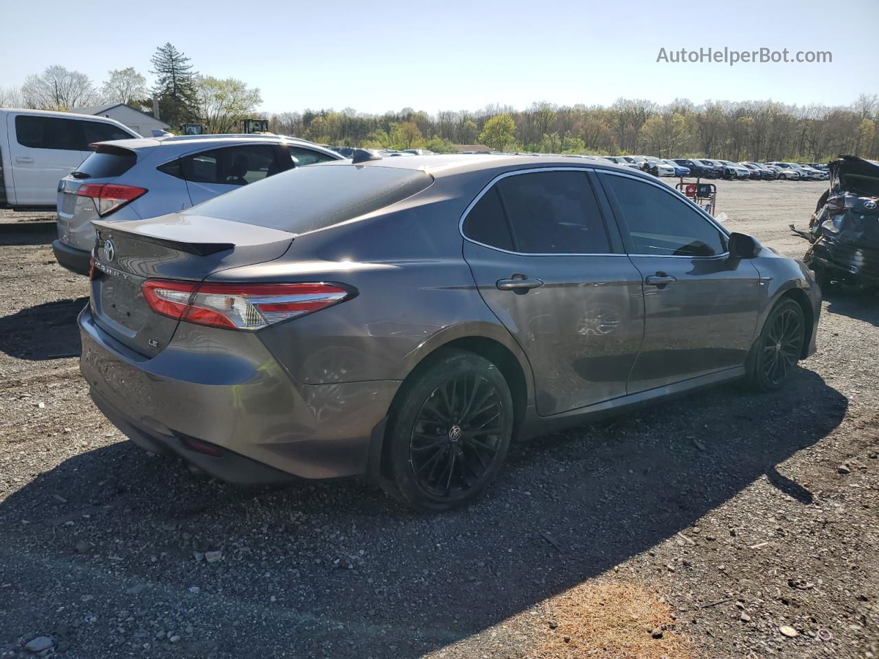 2019 Toyota Camry L Gray vin: 4T1B11HK6KU750589