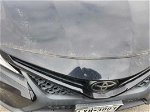 2019 Toyota Camry Se vin: 4T1B11HK6KU775038