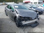 2019 Toyota Camry Se Gray vin: 4T1B11HK7KU161180