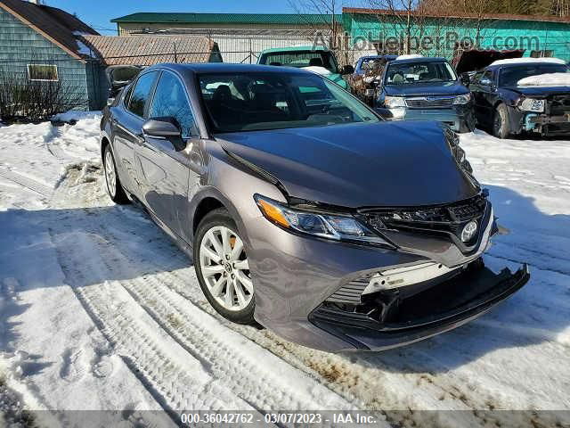 2019 Toyota Camry Xle/se/l/le Gray vin: 4T1B11HK7KU216047