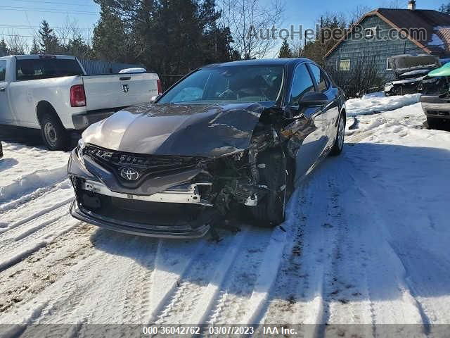 2019 Toyota Camry Xle/se/l/le Gray vin: 4T1B11HK7KU216047