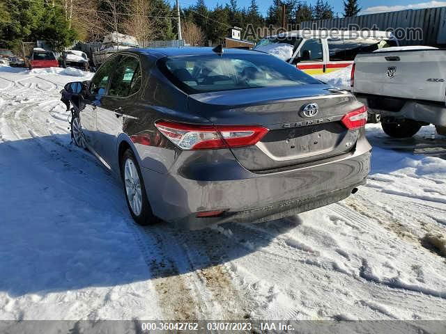 2019 Toyota Camry Xle/se/l/le Gray vin: 4T1B11HK7KU216047