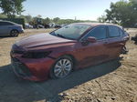 2019 Toyota Camry L Red vin: 4T1B11HK7KU699037