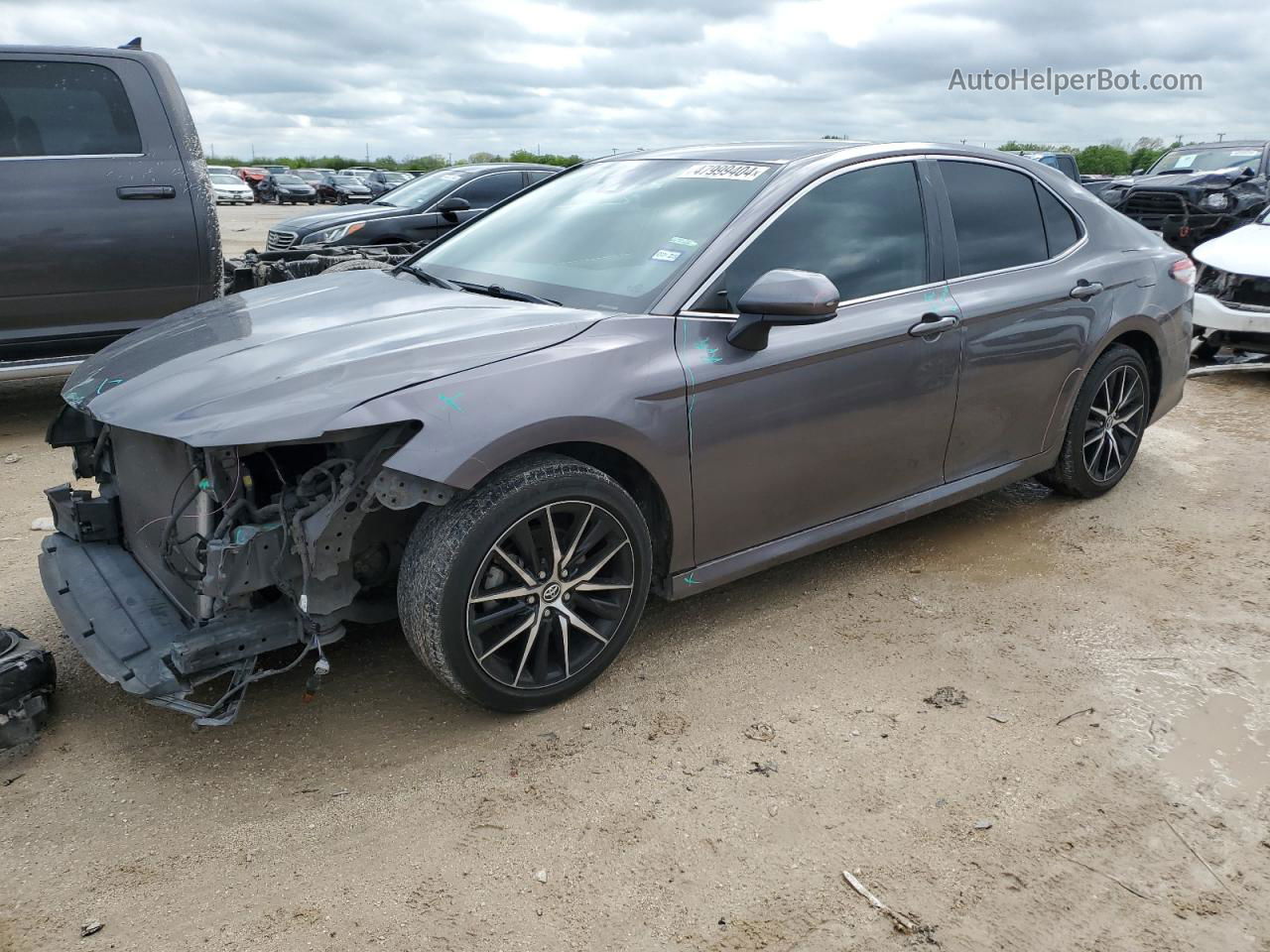 2019 Toyota Camry L Серый vin: 4T1B11HK7KU738645