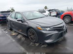 2019 Toyota Camry Se Серый vin: 4T1B11HK8KU779723