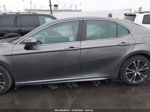 2019 Toyota Camry Se Gray vin: 4T1B11HK8KU779723