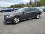 2019 Toyota Camry L Brown vin: 4T1B11HK9KU679677