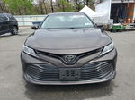 2019 Toyota Camry L Brown vin: 4T1B11HK9KU679677