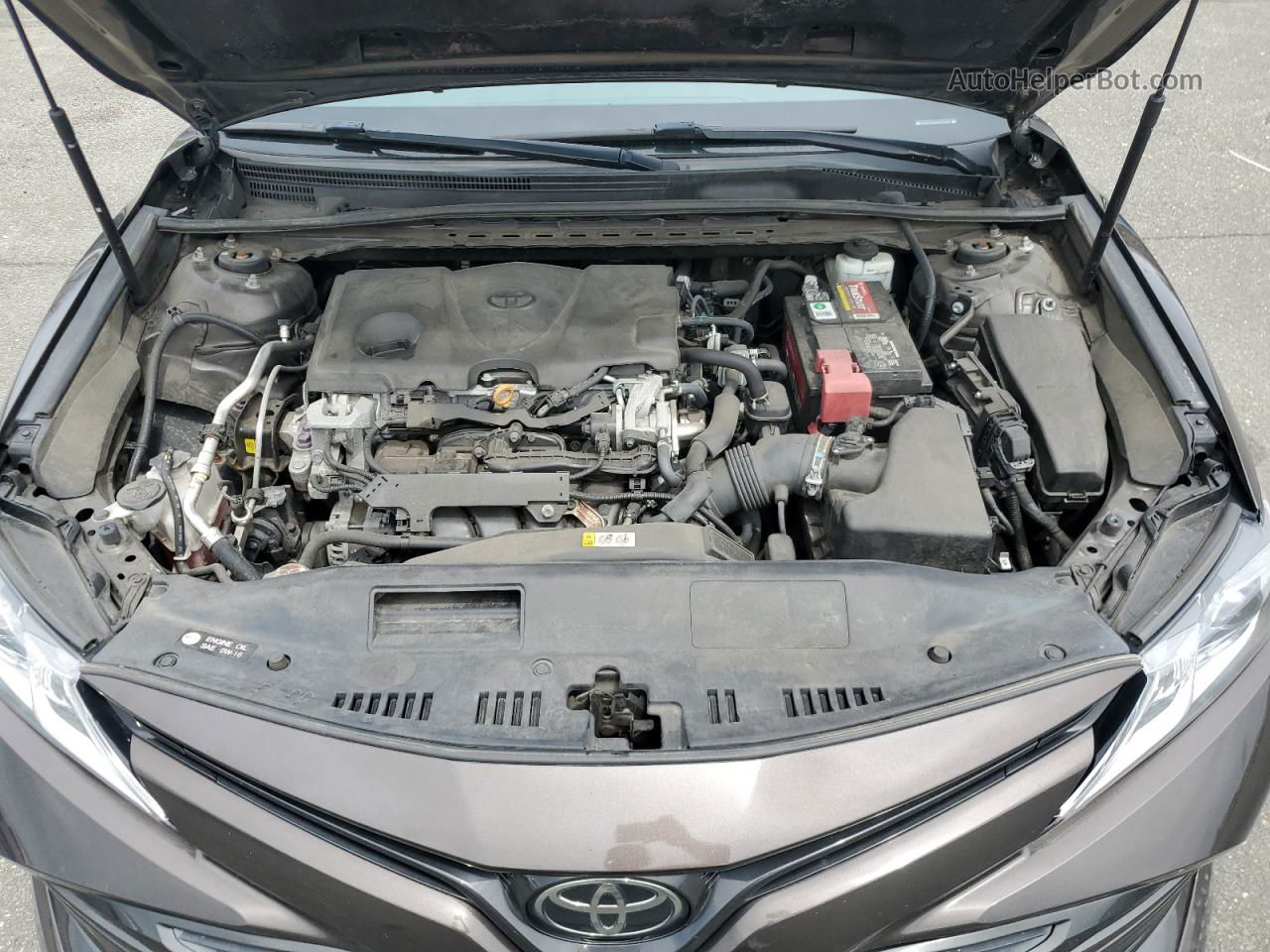 2019 Toyota Camry L Brown vin: 4T1B11HK9KU679677