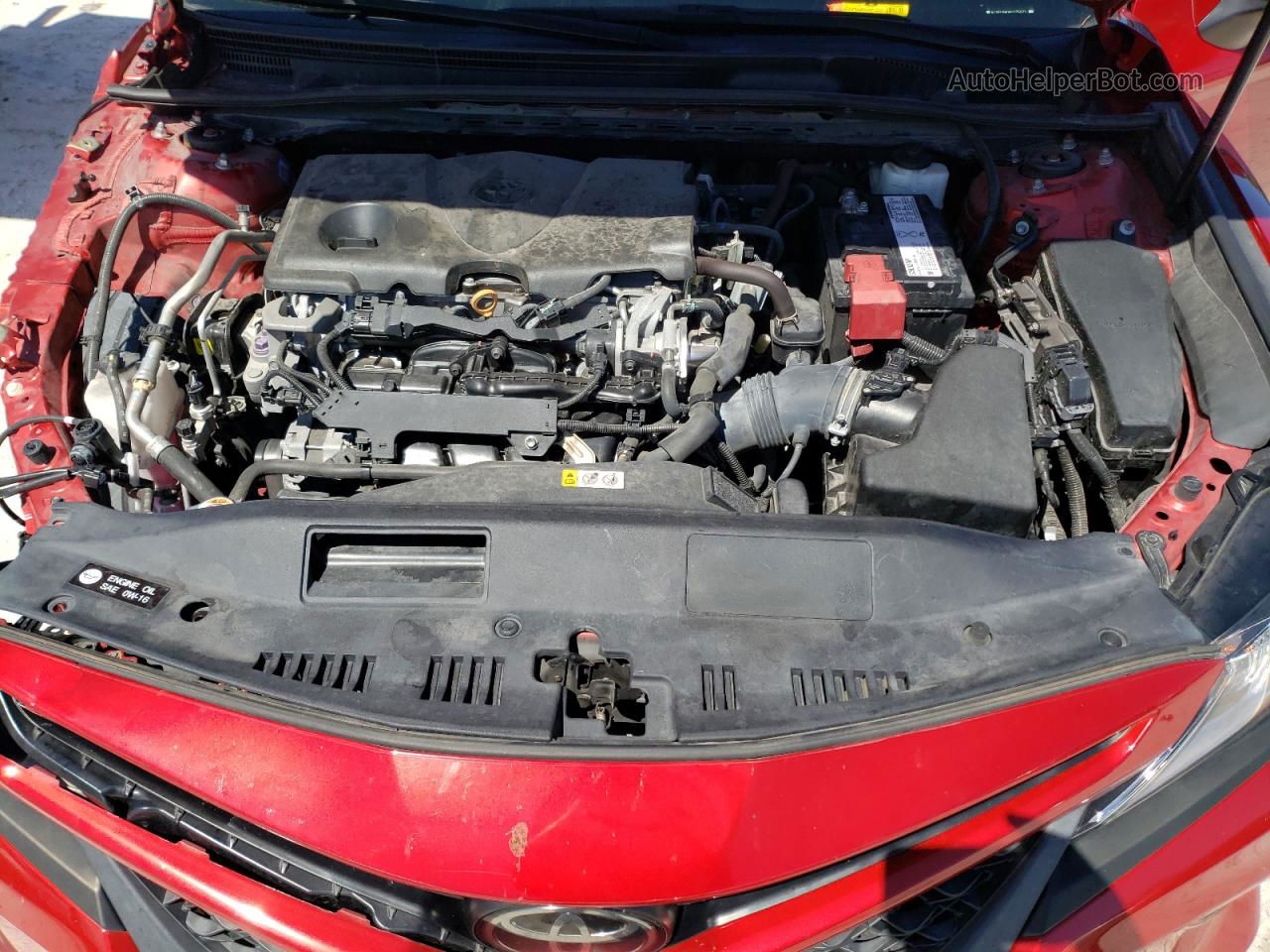 2019 Toyota Camry L Красный vin: 4T1B11HKXKU175672
