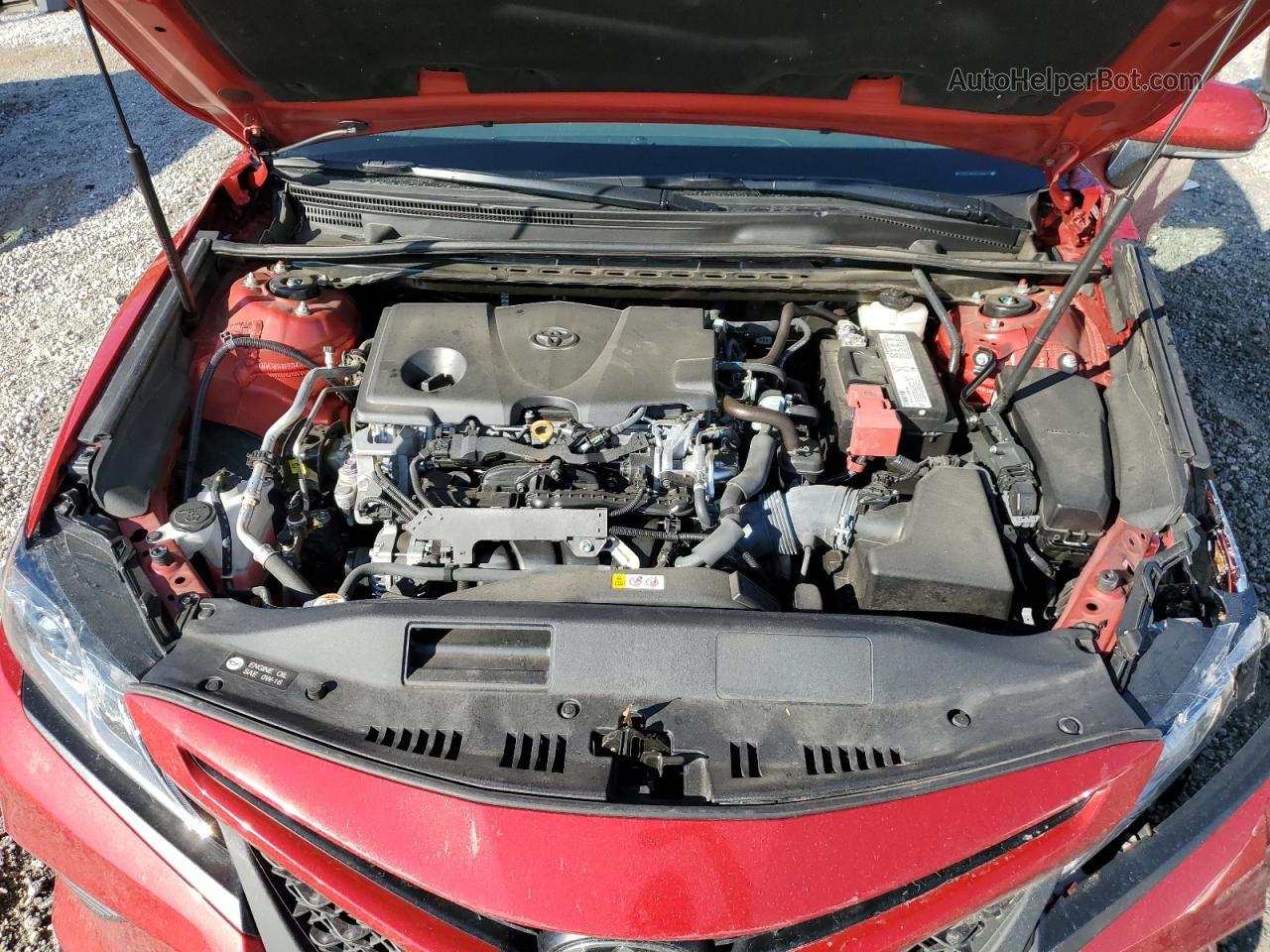 2019 Toyota Camry L Red vin: 4T1B11HKXKU186834