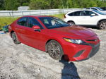 2019 Toyota Camry L Red vin: 4T1B11HKXKU186834