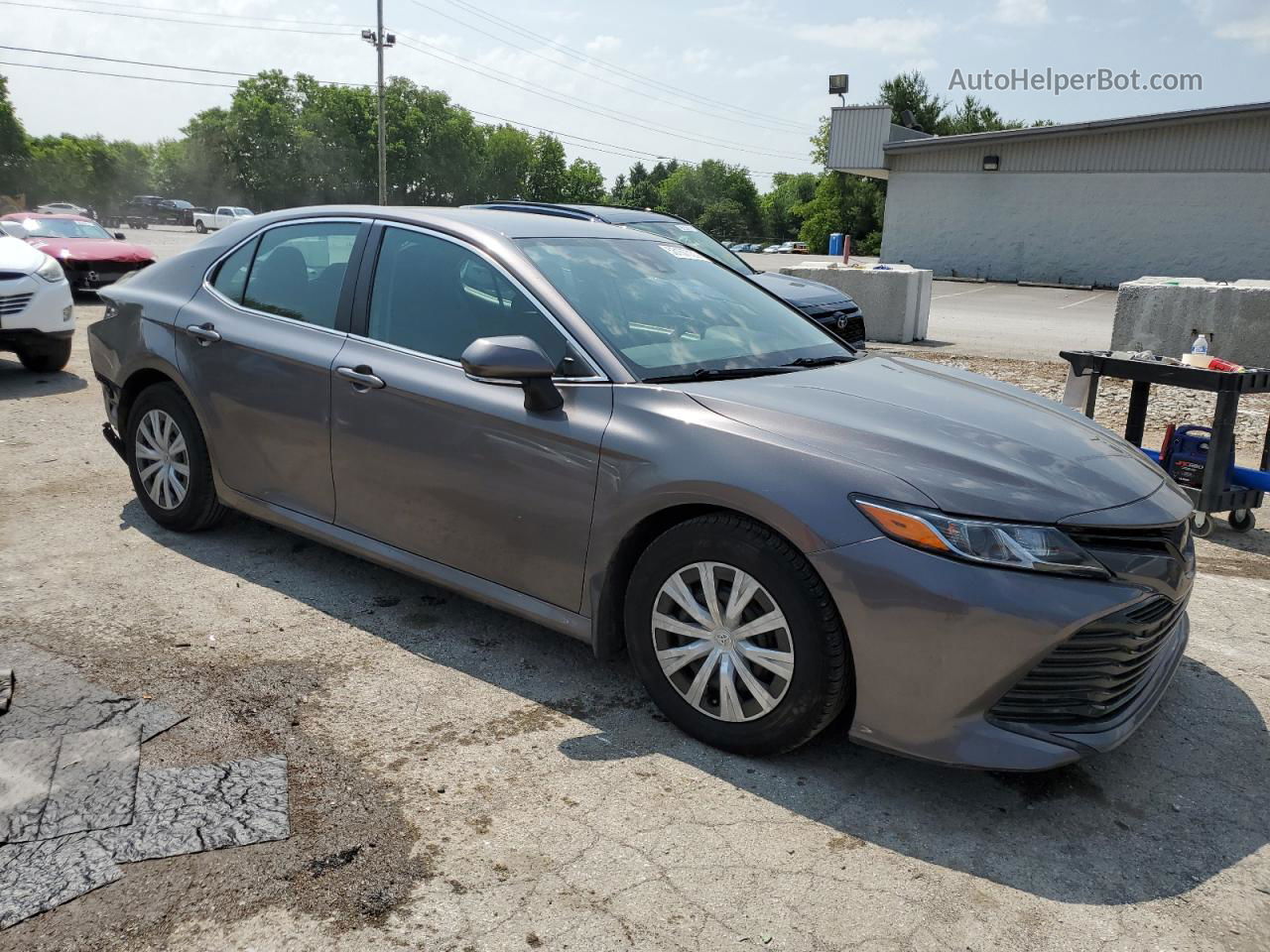 2019 Toyota Camry L Серый vin: 4T1B11HKXKU244215