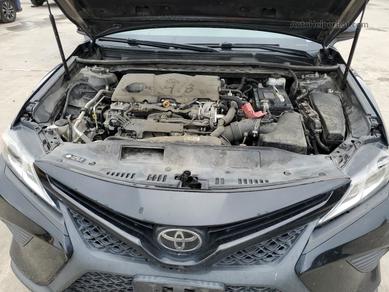 2019 Toyota Camry L Black vin: 4T1B11HKXKU258955