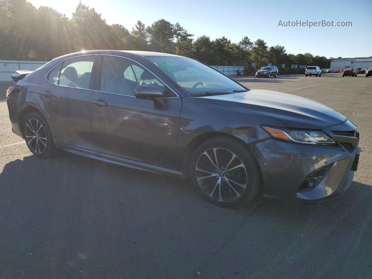 2019 Toyota Camry L Серый vin: 4T1B11HKXKU686802