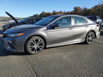 2019 Toyota Camry L Gray vin: 4T1B11HKXKU686802