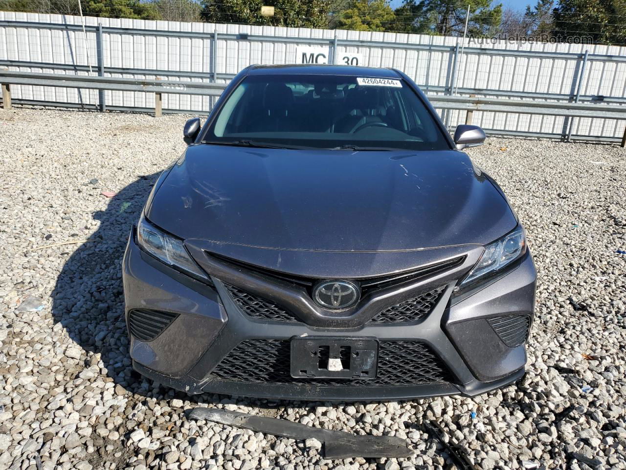 2019 Toyota Camry L Gray vin: 4T1B11HKXKU746478