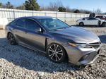 2019 Toyota Camry L Gray vin: 4T1B11HKXKU746478