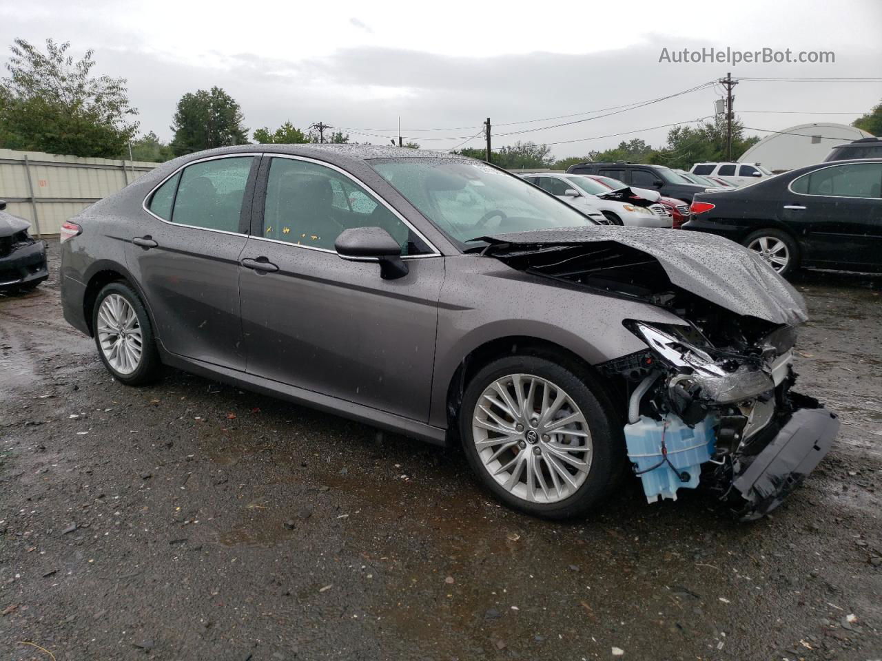 2019 Toyota Camry L Серый vin: 4T1B11HKXKU762681