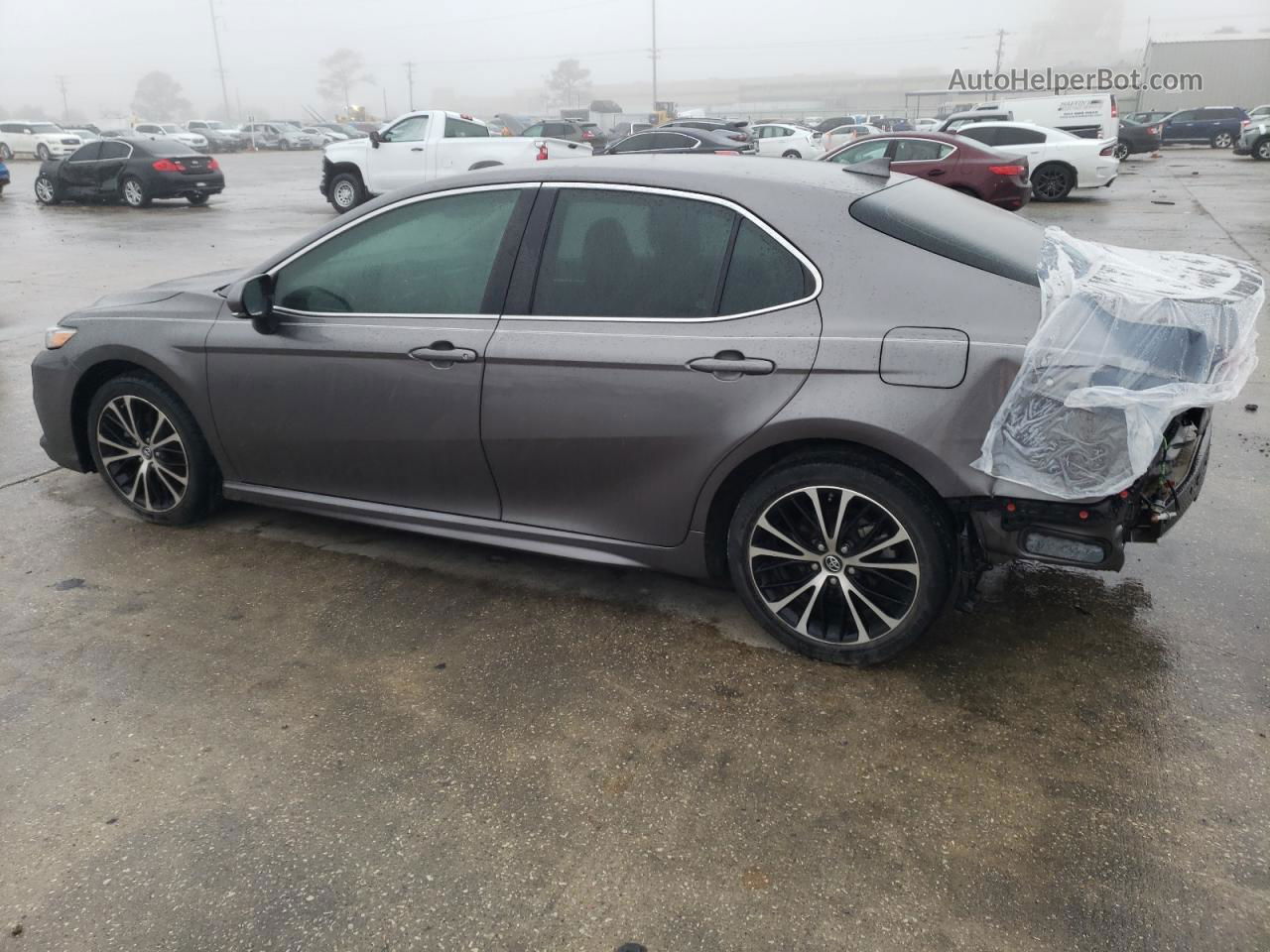 2019 Toyota Camry L Серый vin: 4T1B11HKXKU855183