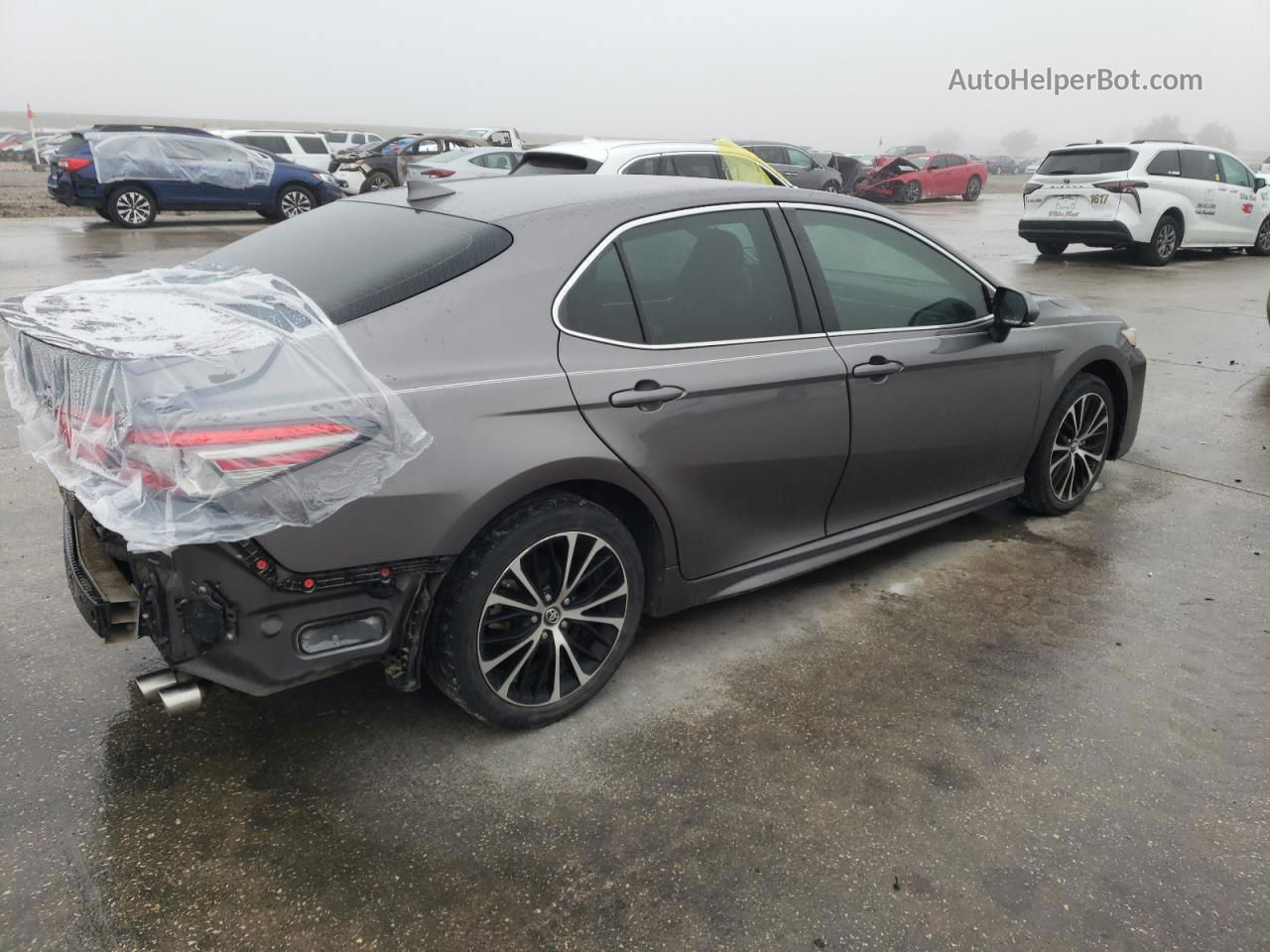 2019 Toyota Camry L Серый vin: 4T1B11HKXKU855183