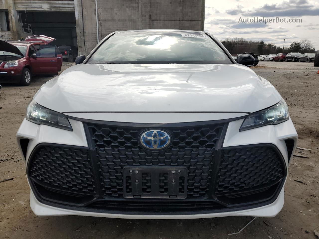 2019 Toyota Avalon Xle White vin: 4T1B21FB3KU001961