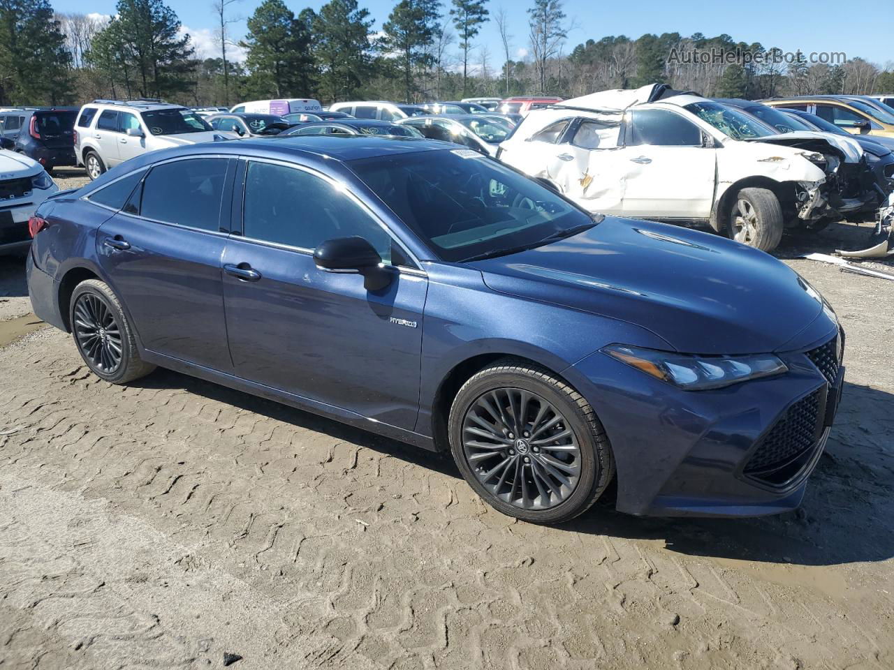 2019 Toyota Avalon Xle Blue vin: 4T1B21FB5KU004926