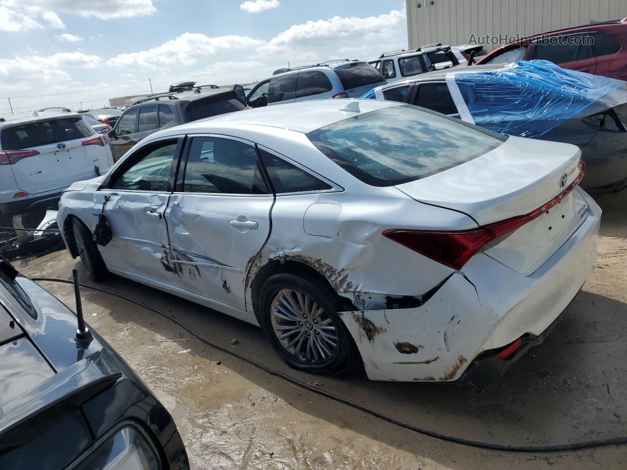 2019 Toyota Avalon Xle Белый vin: 4T1B21FB5KU010435