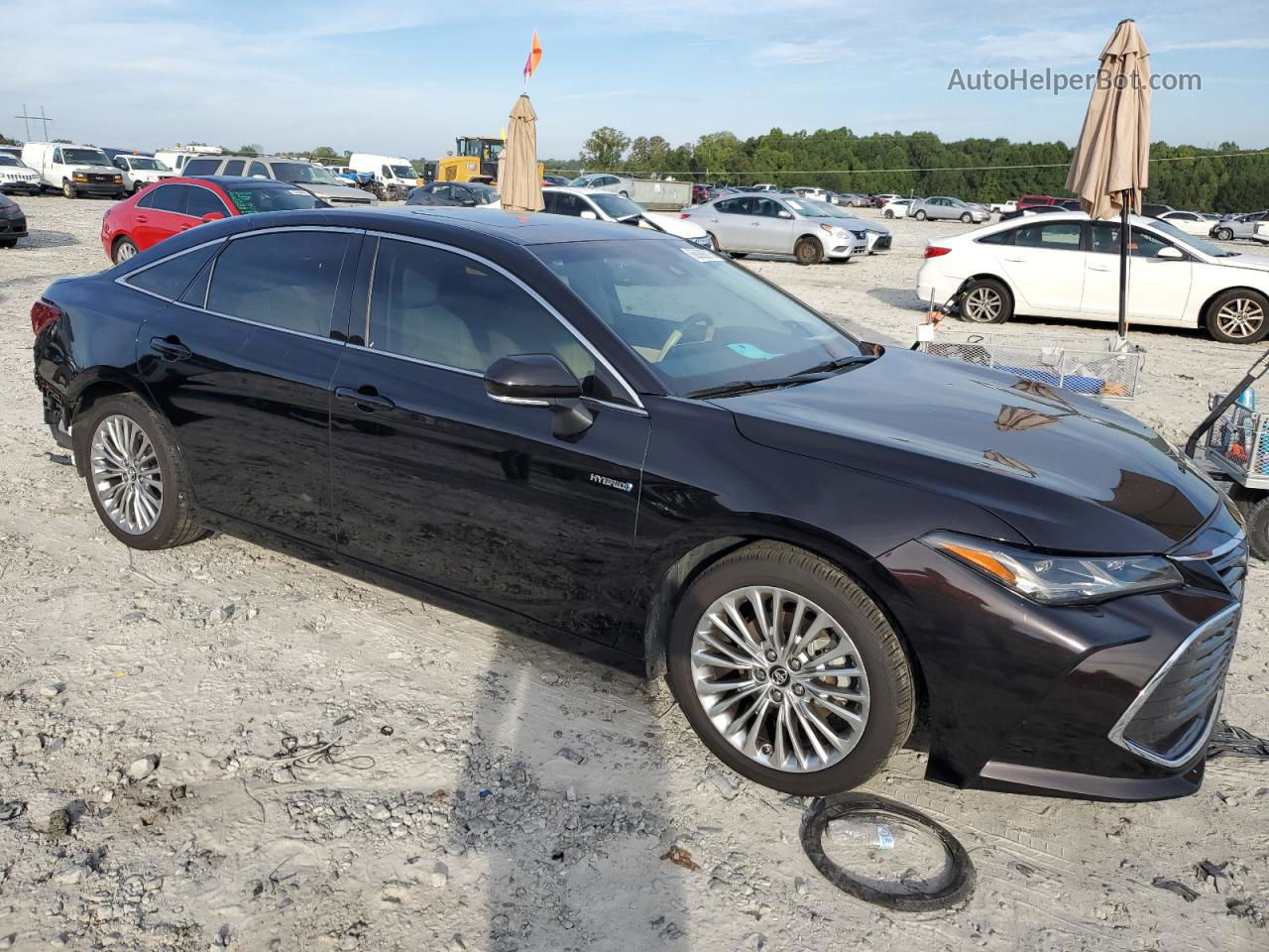 2019 Toyota Avalon Xle Brown vin: 4T1B21FB5KU011004