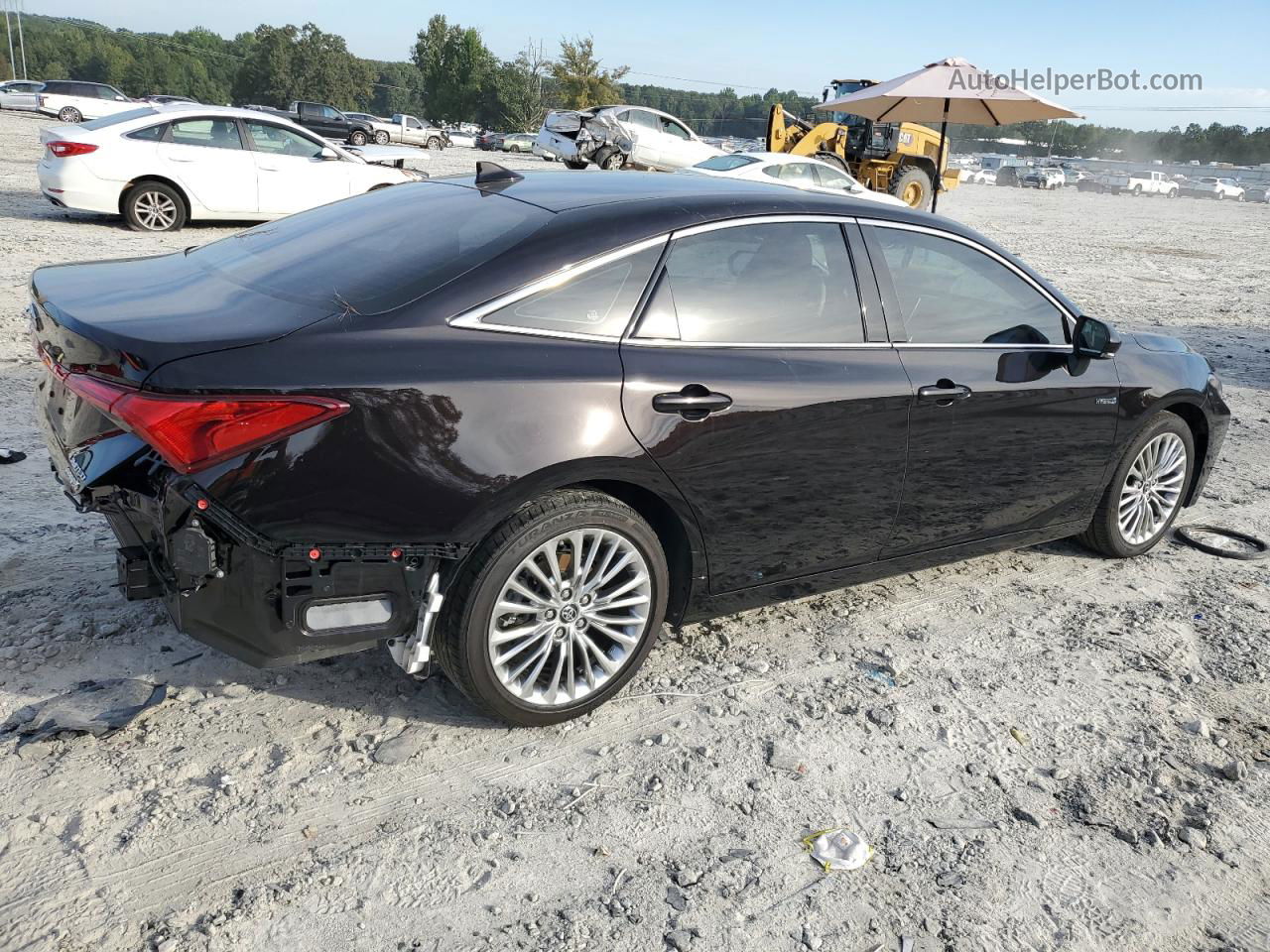 2019 Toyota Avalon Xle Brown vin: 4T1B21FB5KU011004