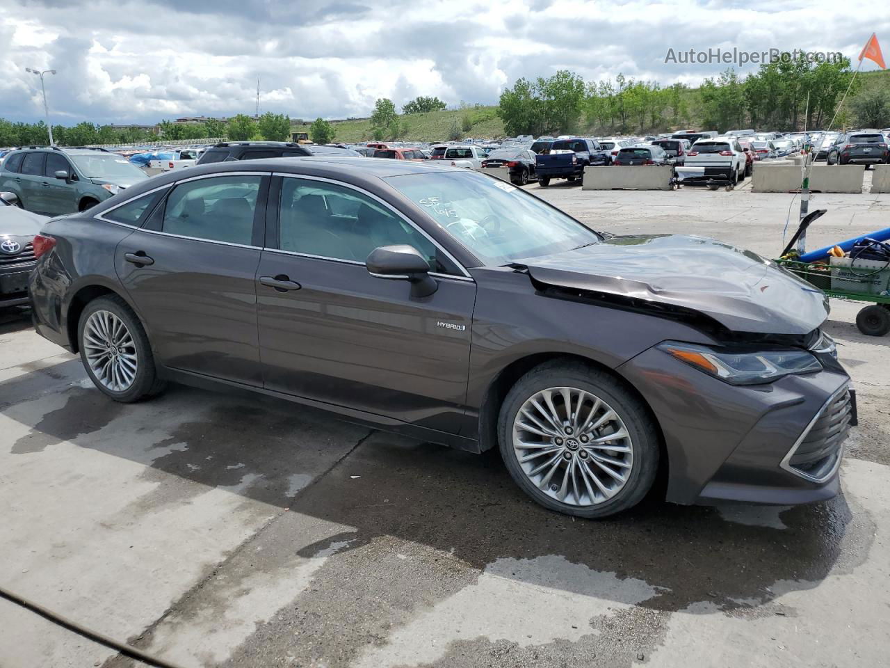 2019 Toyota Avalon Xle Brown vin: 4T1B21FB6KU007592