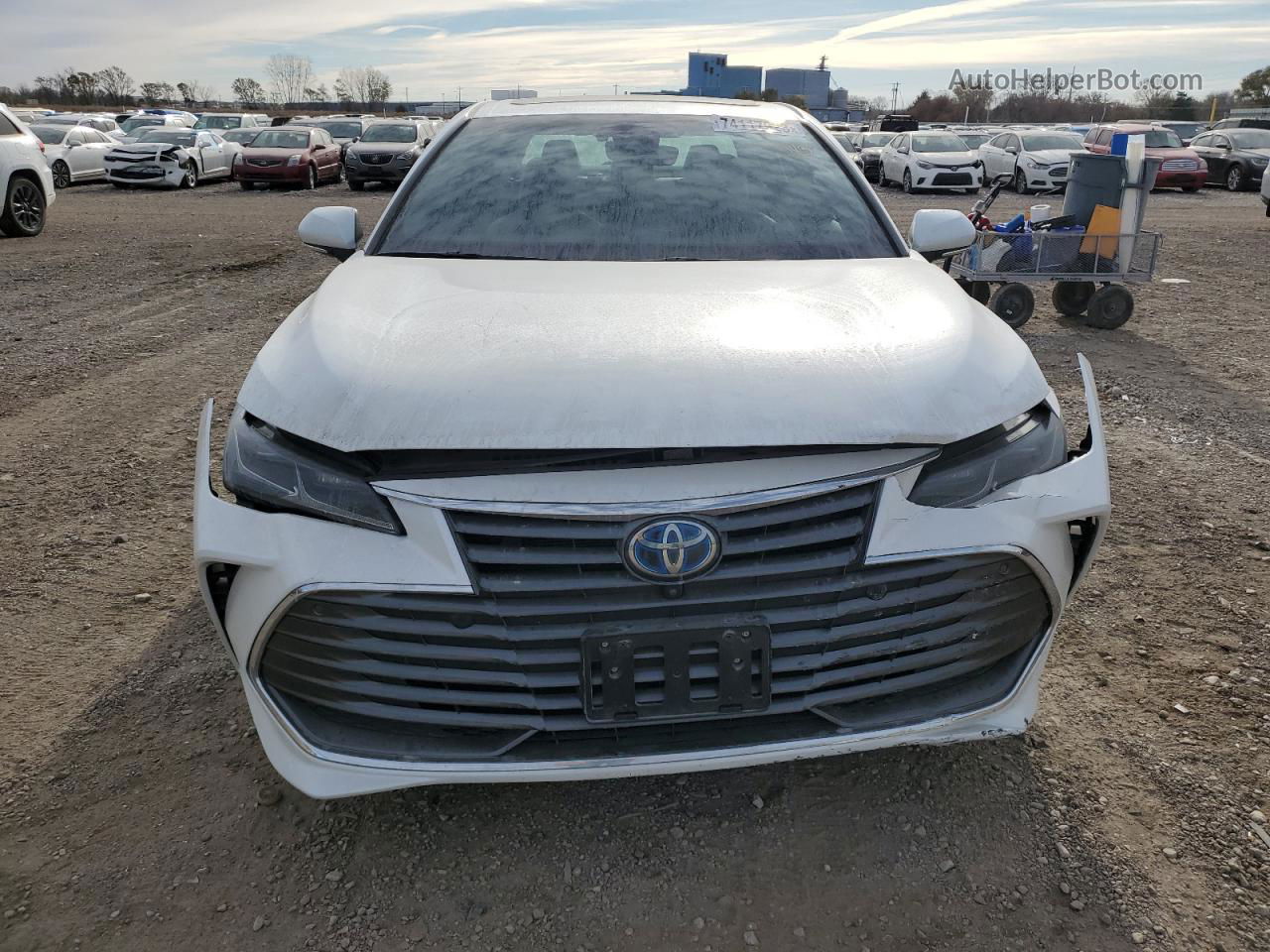 2019 Toyota Avalon Xle White vin: 4T1B21FB6KU011500