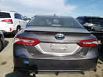 2019 Toyota Camry Hybrid Gray vin: 4T1B21HK0KU522004