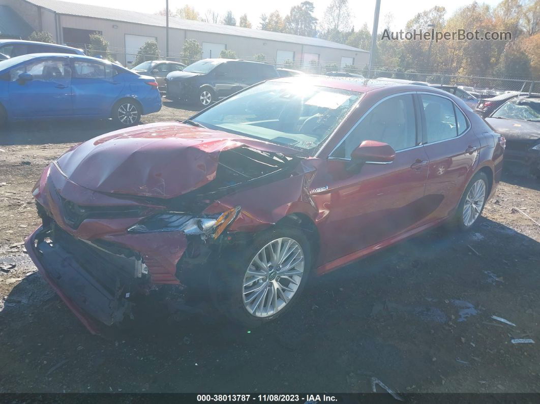 2019 Toyota Camry Hybrid Xle Red vin: 4T1B21HK1KU511674