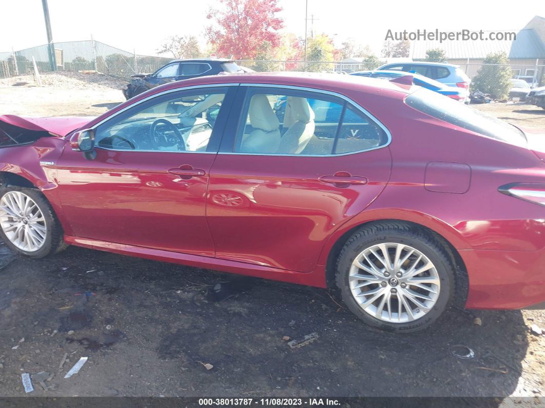 2019 Toyota Camry Hybrid Xle Red vin: 4T1B21HK1KU511674