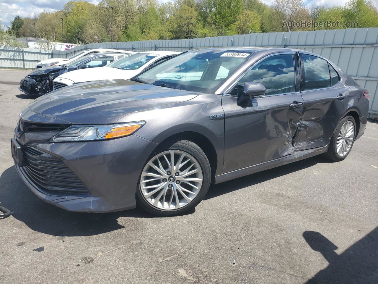 2019 Toyota Camry Hybrid Gray vin: 4T1B21HK2KU517399