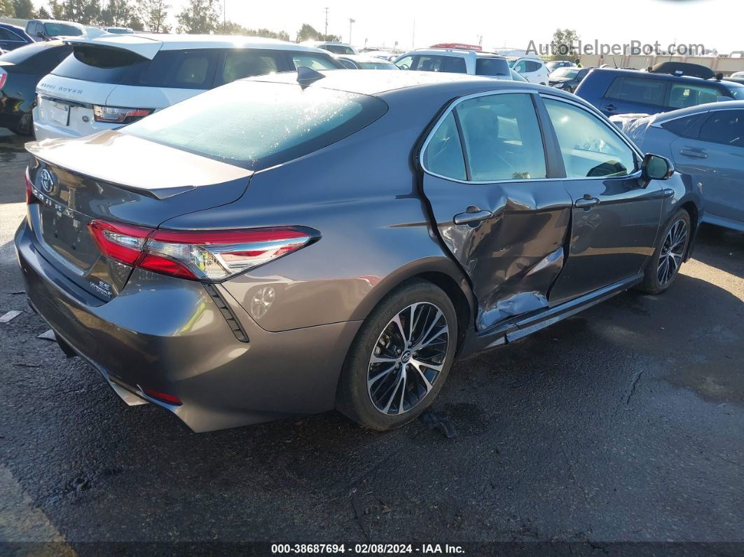 2019 Toyota Camry Hybrid Se Gray vin: 4T1B21HK5KU514027