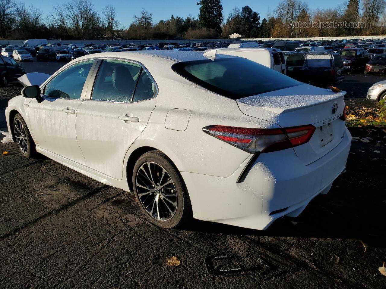 2019 Toyota Camry Hybrid White vin: 4T1B21HK7KU511078