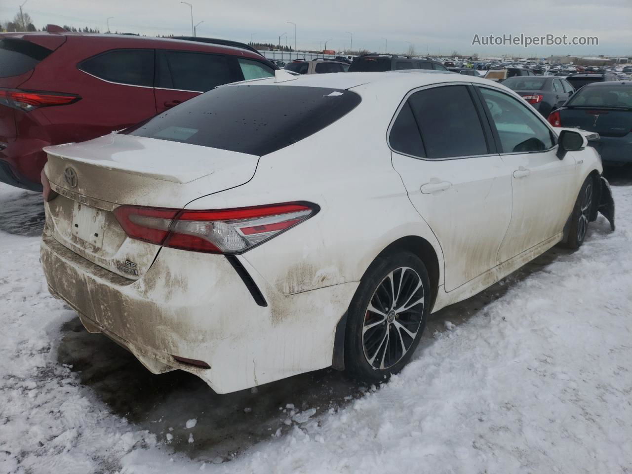 2019 Toyota Camry Hybrid White vin: 4T1B21HK9KU010502