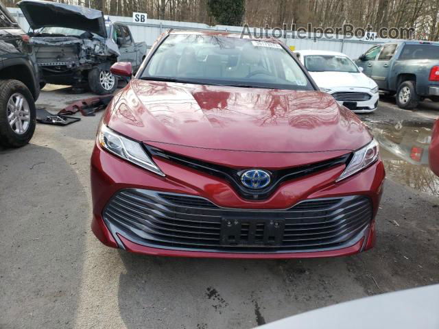 2019 Toyota Camry Hybrid Red vin: 4T1B21HK9KU511843