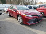 2019 Toyota Camry Hybrid Red vin: 4T1B21HK9KU511843